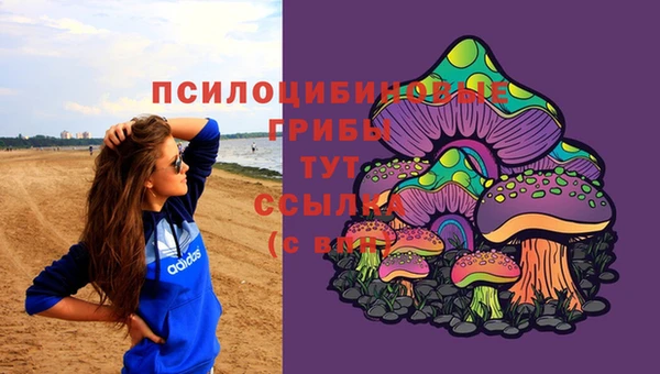 а пвп мука Богородск