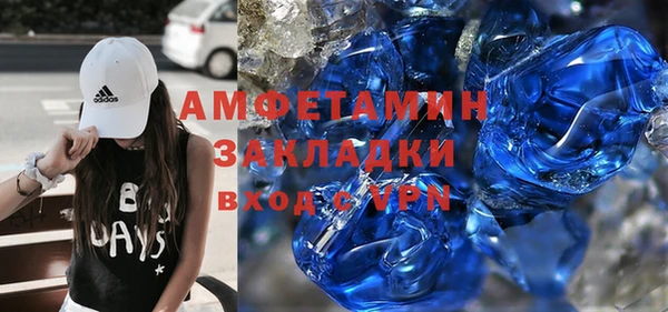 прущие грибы Богородицк